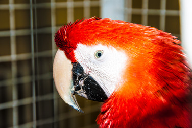 Similar image 2797096