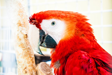 Similar image 2797099