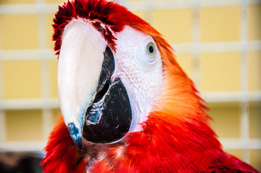 Similar image 2797101