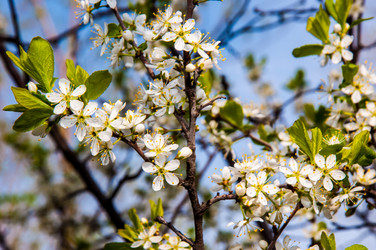 Similar image 2797123