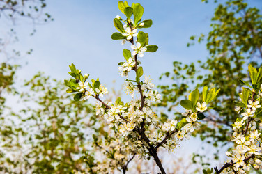 Similar image 2797124