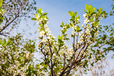 Similar image 2797125