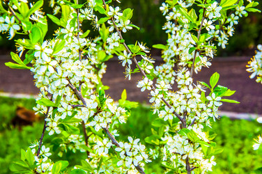 Similar image 2797127