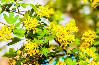 Similar image 2797128