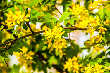 Similar image 2797130