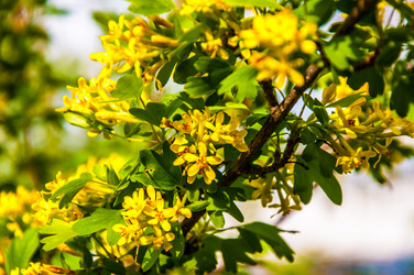 Similar image 2797131