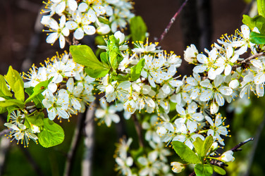 Similar image 2797132