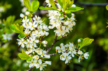 Similar image 2797133