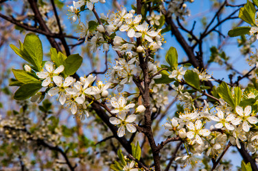 Similar image 2797134