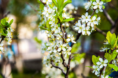 Similar image 2797135