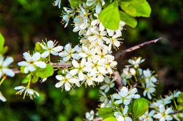 Similar image 2797136