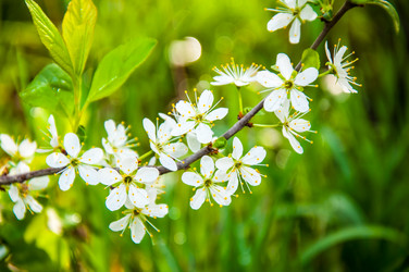 Similar image 2797138