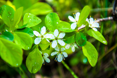 Similar image 2797139