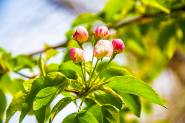 Similar image 2797147