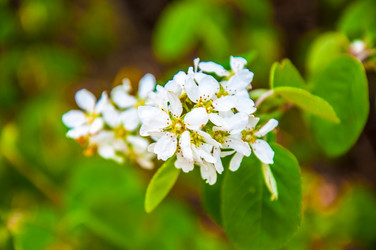 Similar image 2797148