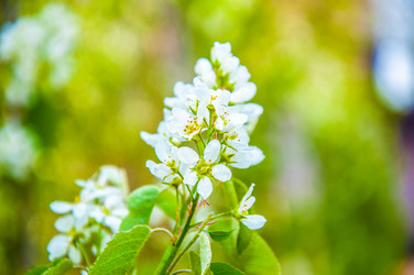 Similar image 2797153