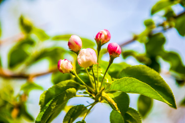 Similar image 2797154