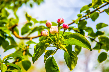 Similar image 2797156