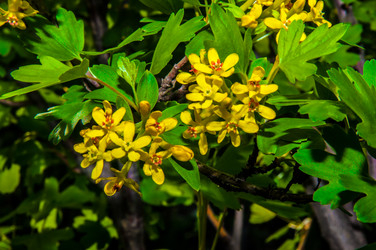 Similar image 2797157