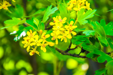 Similar image 2797158