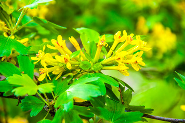 Similar image 2797159