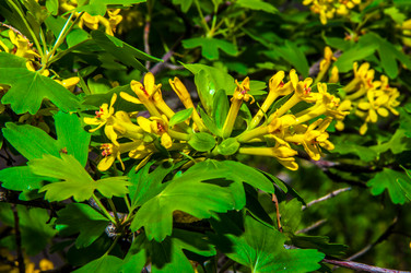 Similar image 2797160