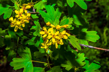 Similar image 2797161