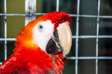 Similar image 2797163