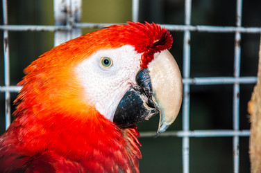 Similar image 2797166