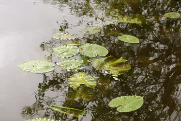 Similar image 2797818