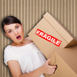 Similar image 2798012