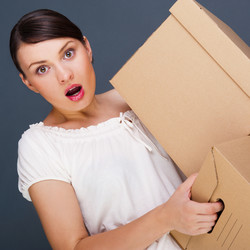 Similar image 2798017