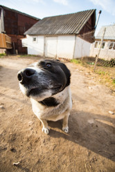 Similar image 2798022