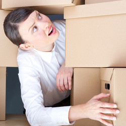 Similar image 2798084