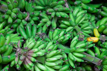 Similar image 2798611