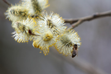 Similar image 2798902