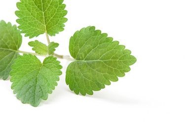 Similar image 2798910