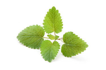 Similar image 2798913