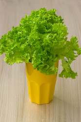 Similar image 2798922