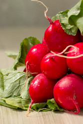 Similar image 2798940