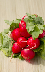 Similar image 2798941