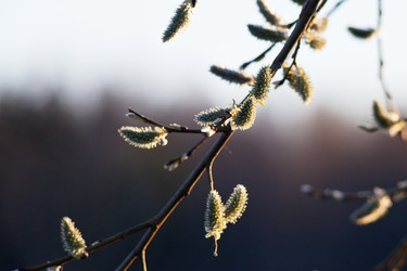 Similar image 2798944