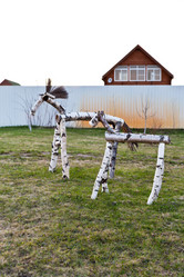 Similar image 2798950