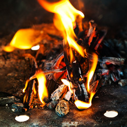 Similar image 2798954