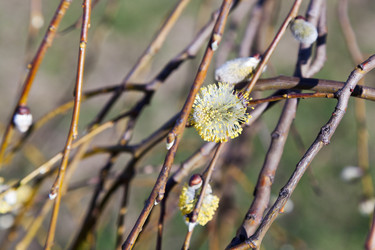 Similar image 2798959