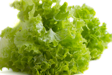 Similar image 2798973