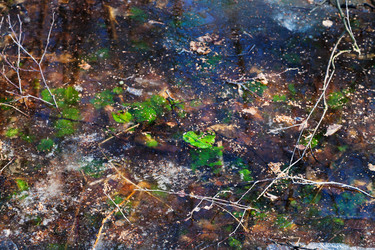 Similar image 2799007