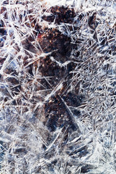 Similar image 2799009