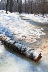 Similar image 2799011