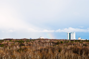 Similar image 2799032